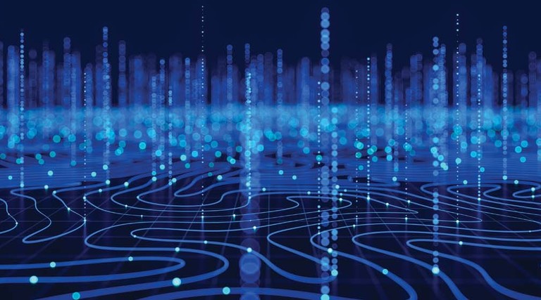 Animated computer network