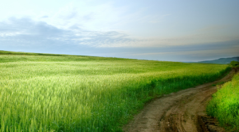 How the University of Maine Is Overcoming Tech Challenges for Rural Students